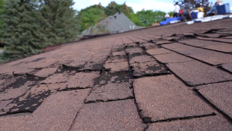 Fast & Reliable Emergency Roof Repairs in West Union, OH